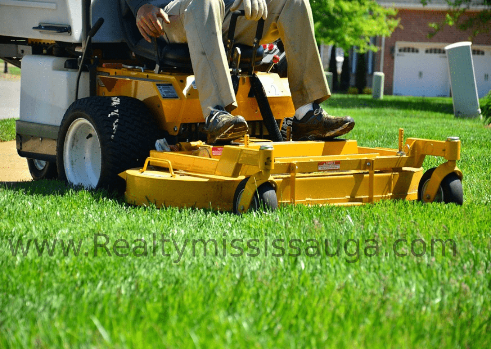 You are currently viewing Best Lawn Care Services in Mississauga