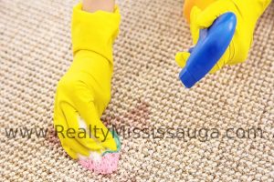 Read more about the article Floor Cleaning and Stain Remover Services in Mississauga