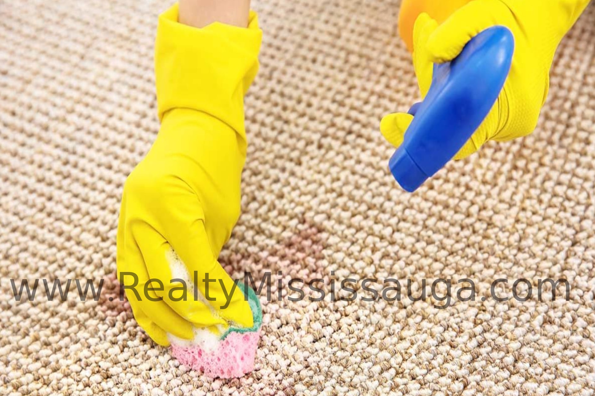 You are currently viewing Floor Cleaning and Stain Remover Services in Mississauga