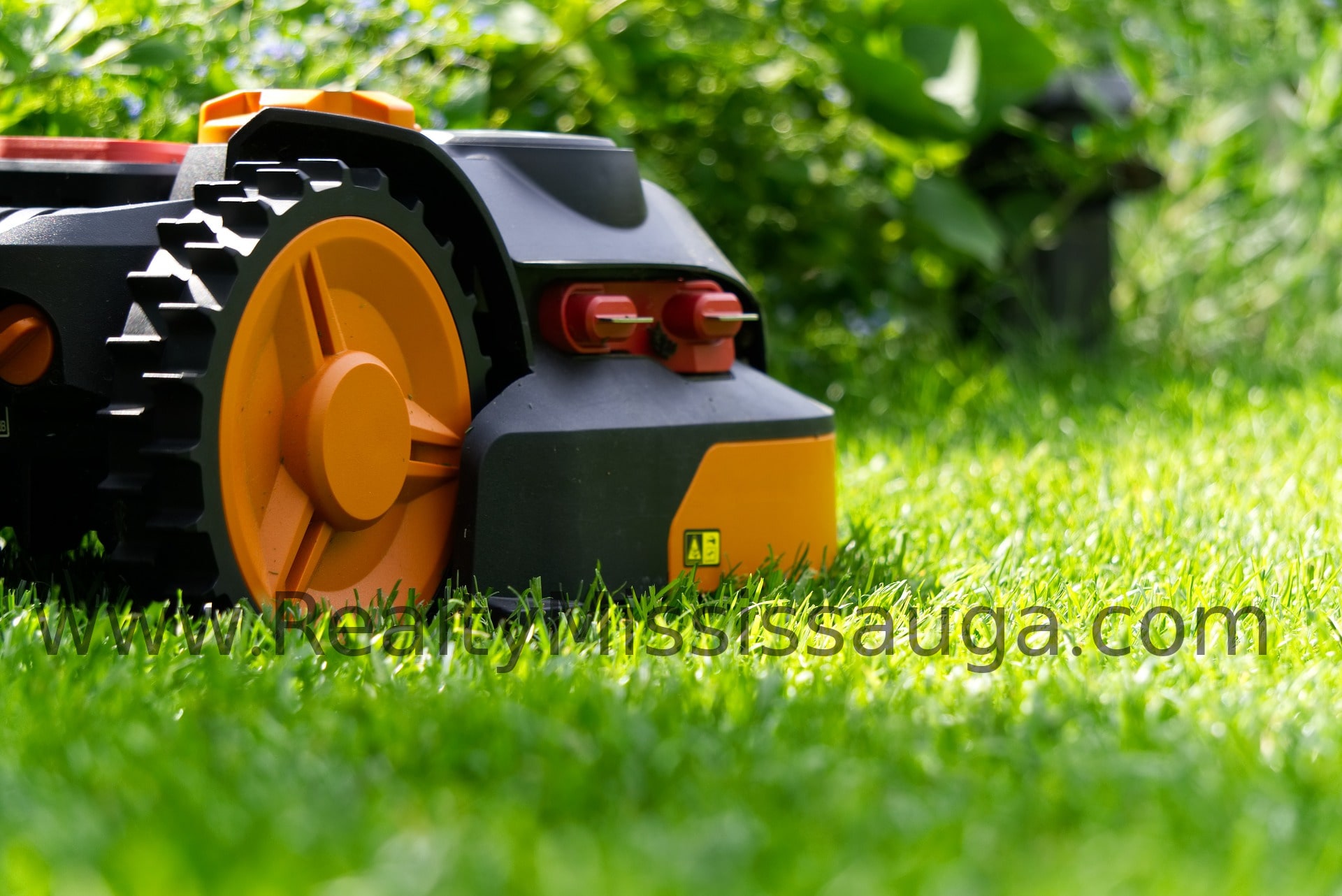 You are currently viewing How do you find Lawn care services in Mississauga?