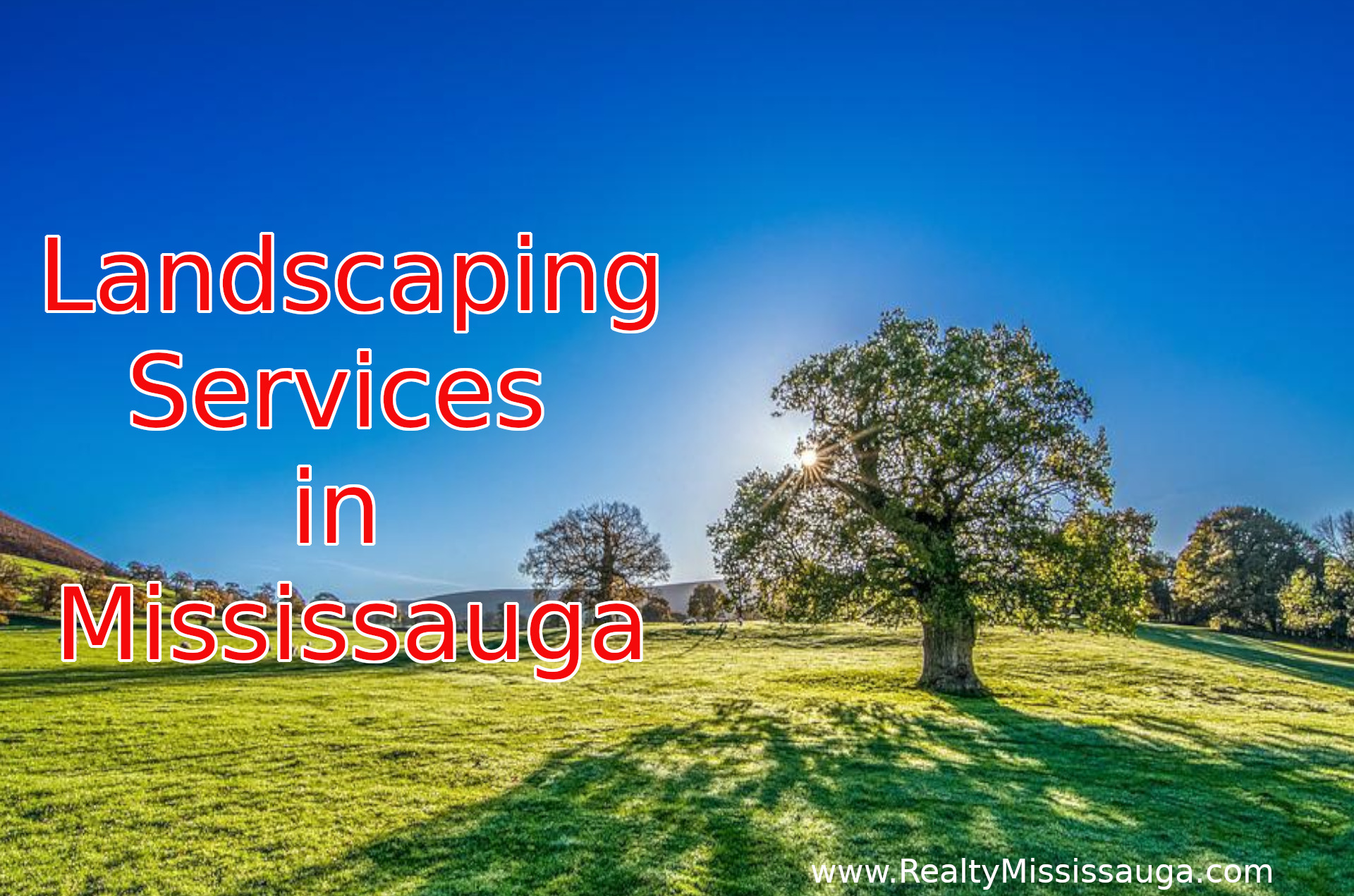 You are currently viewing Landscaping Services in Mississauga