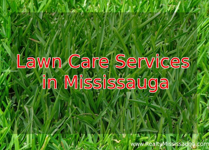 Lawn care services in Mississauga