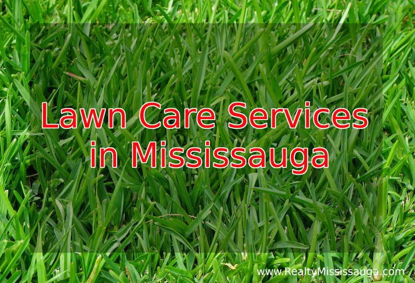 Lawn care services in Mississauga