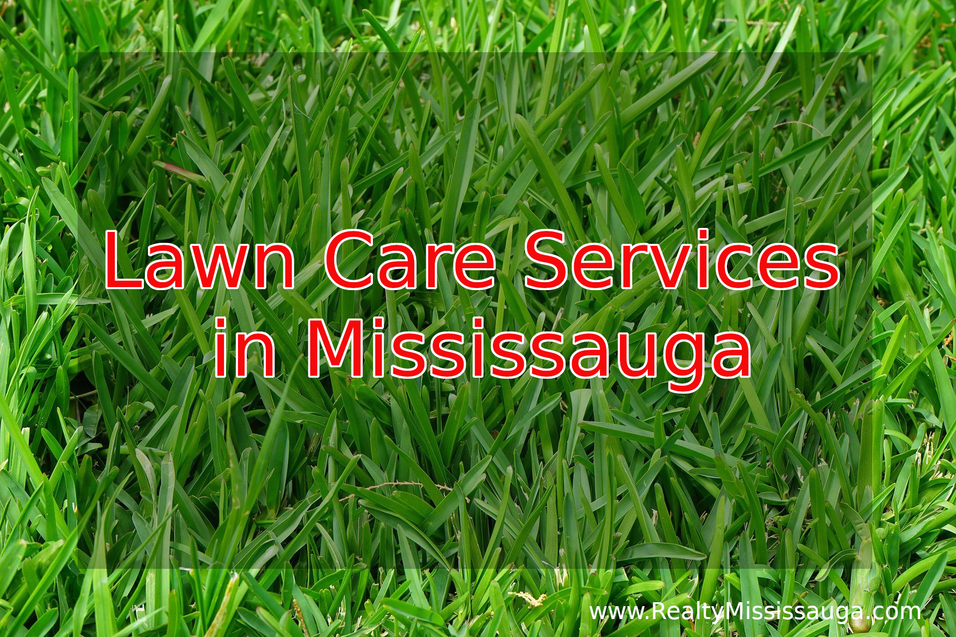 You are currently viewing Lawn Care Services in Mississauga